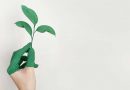 The Top 5 Most Effective Green Marketing Strategies
